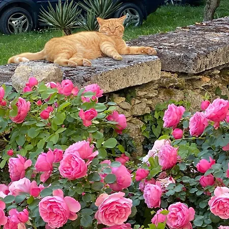 Chateau Du Port Huble Βίλα