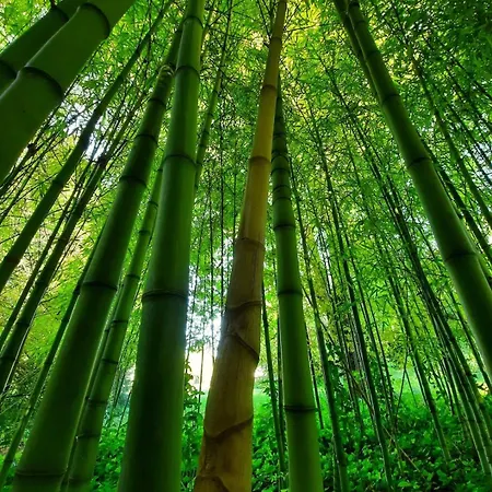 Βίλα Chateau Du Port Huble