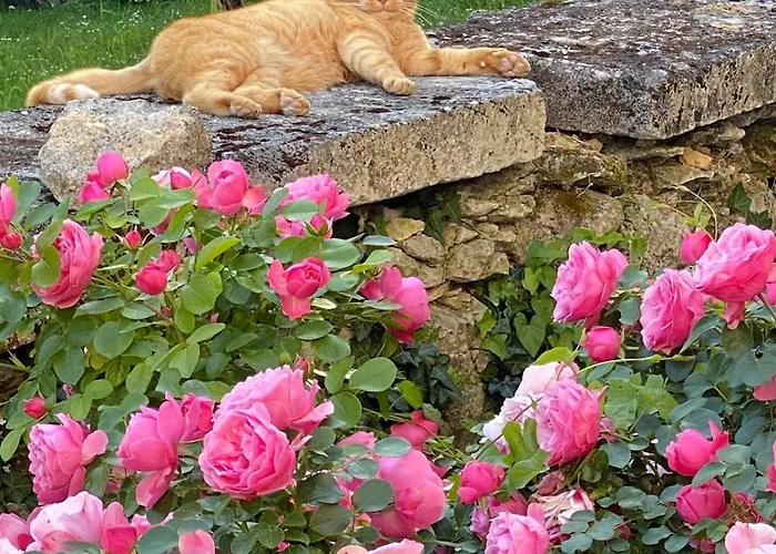 Chateau Du Port Huble ヴィラ