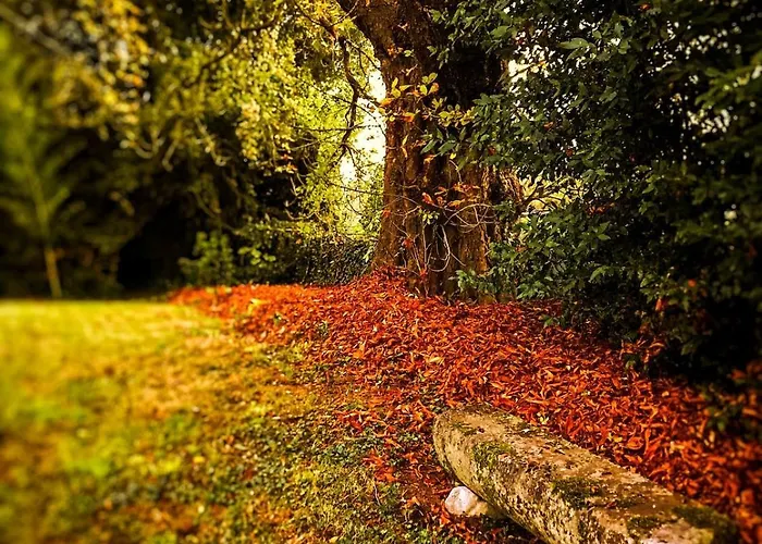 Chateau Du Port Huble ヴィラ *