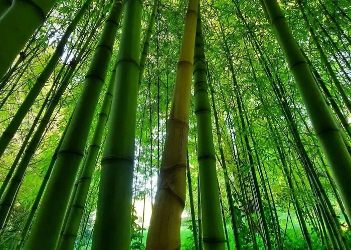 ヴィラ Chateau Du Port Huble