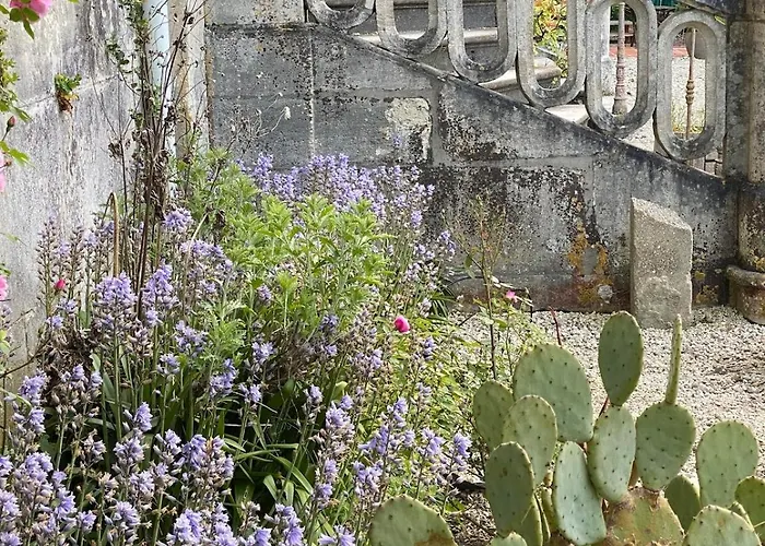 Chateau Du Port Huble ヴィラ *