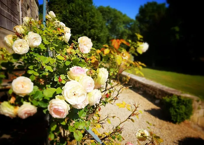 Chateau Du Port Huble ヴィラ *