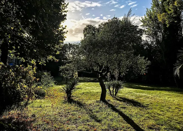 Chateau Du Port Huble ヴィラ Chaniers