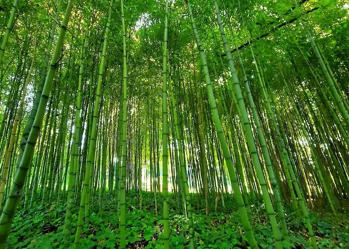 Chateau Du Port Huble ヴィラ *