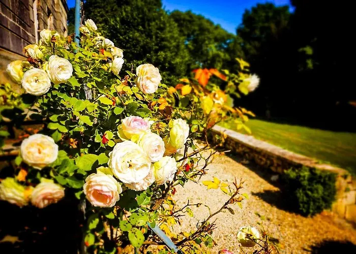 Chateau Du Port Huble *