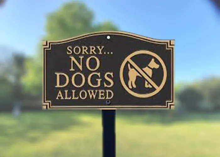 Chateau Du Port Huble Chaniers